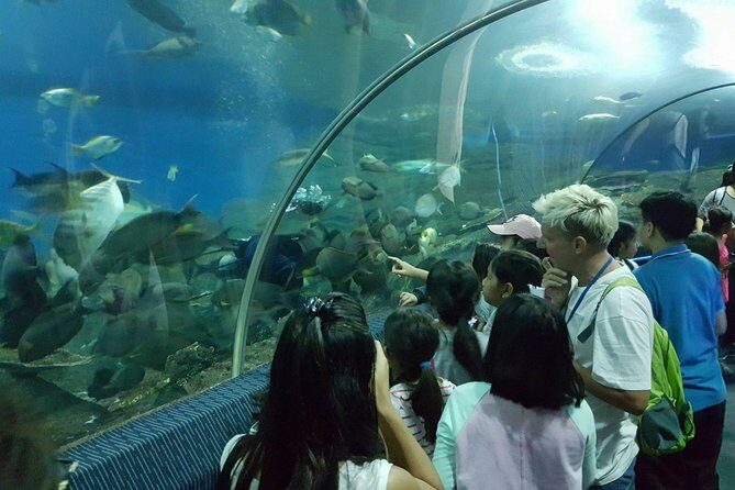 Pattaya Underwater World - Discover Ocean Treasures - The Sum Up