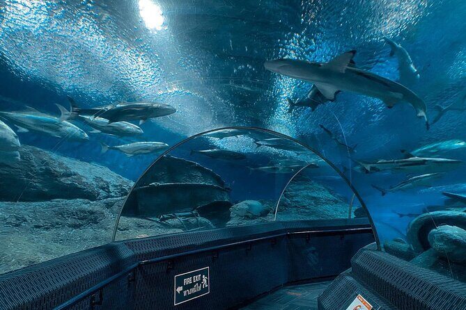 Pattaya Underwater World Entrance Ticket - FAQs