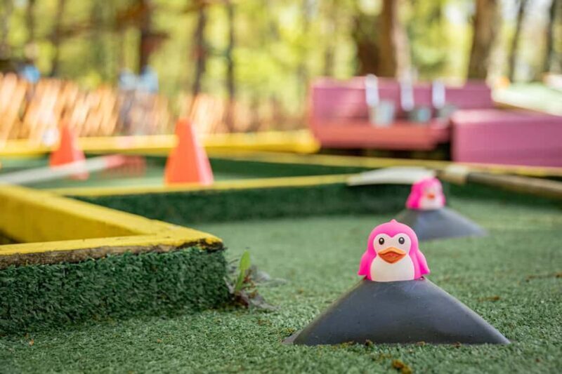 Pau - Tree climbing - Lacq Aventure - FAQ