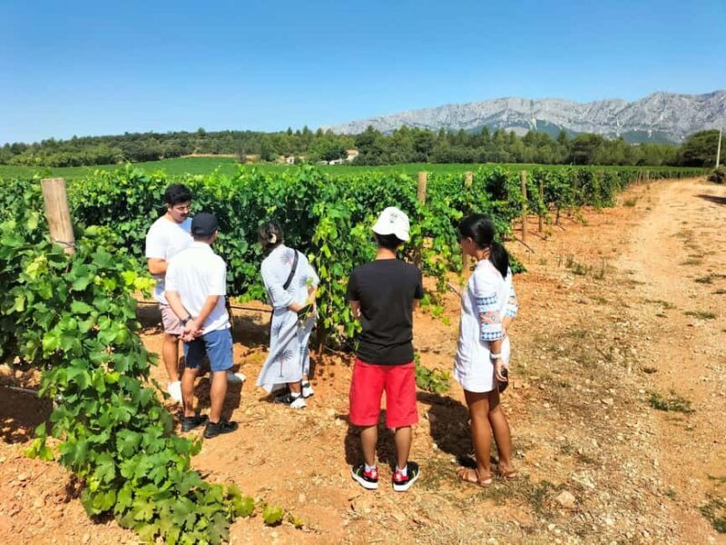 Peaceful Countryside Day : vineyards, food & villages - The Sum Up: Who’s This Tour Best For?