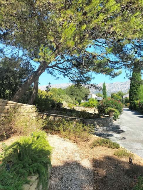 Peaceful Countryside Day : vineyards, food & villages - FAQ