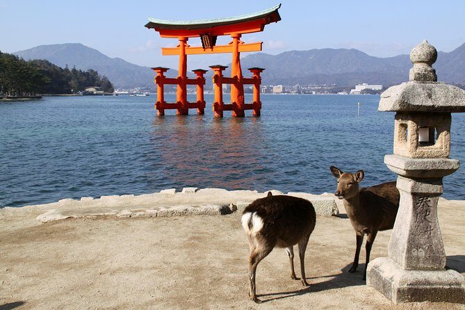 Peaceful Hiroshima & Miyajima UNESCO 1 Day Bus Tour - Starting Point and Logistics: Easy and Convenient