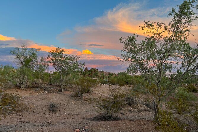 Peaceful Morning Walk: Guided Journey Through the Sonoran Desert - Who Will Appreciate This Tour?