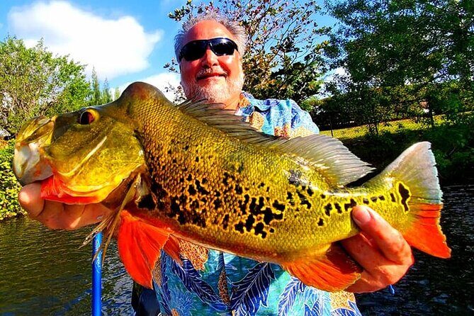 Peacock Bass Fishing Trip near Miami South Beach - The Fish and Wildlife Encounter