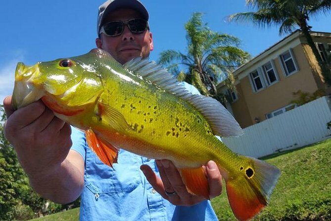 Peacock Bass Fishing Trip near Palm Beach - Key Points