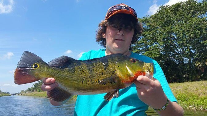 Peacock Bass Fishing Trips Near Key Largo - Why This Tour Offers Great Value