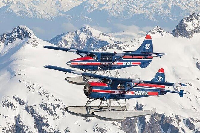 Peak Season Bear Viewing By Seaplane - Pricing and Value Analysis