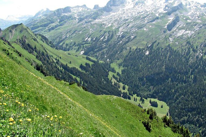 Peak to Peak Private Hiking Tour from Lucerne - The Value of This Tour: What You Get for the Price