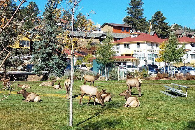 Peak to Peak Scenic Byway and Estes Park - What Makes This Tour Worth Considering?