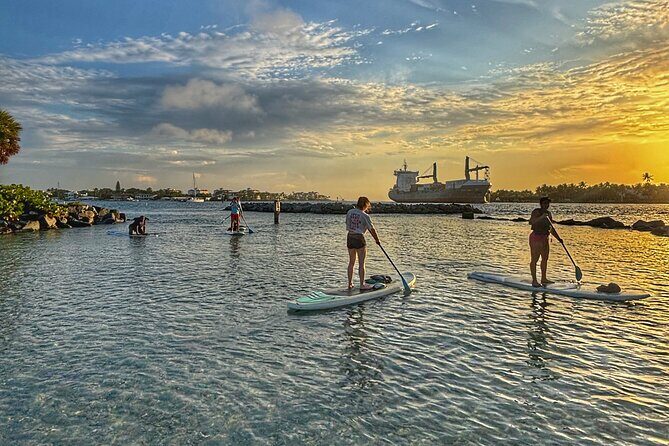 Peanut Island Sunrise Paddle Boarding Adventure - Introduction