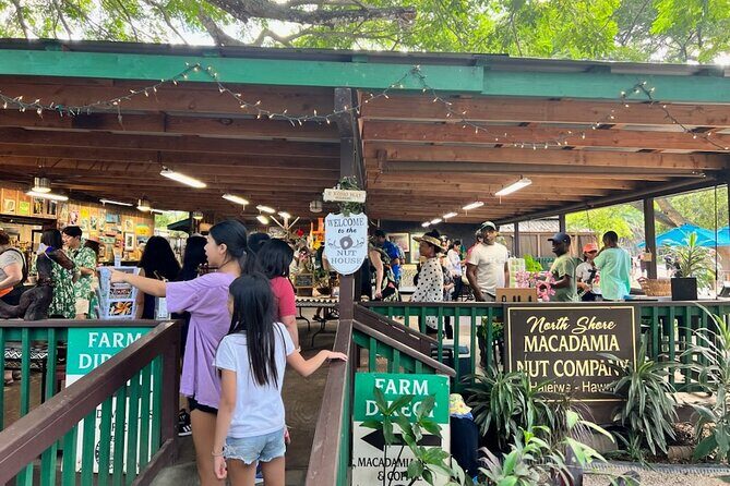 Pearl Harbor and Circle Island Tour - An In-Depth Look at the Tour Experience
