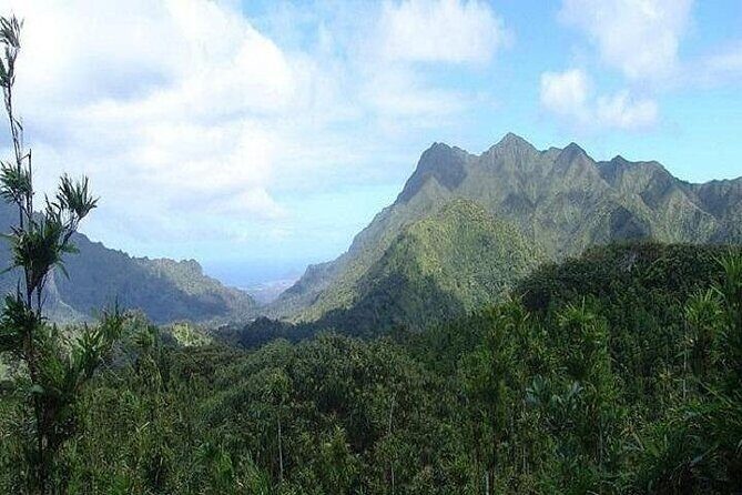 Pearl Harbor and Mini Circle Island Tour from Kauai - Who Should Book This Tour?