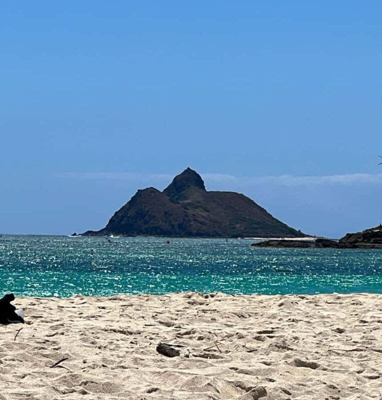 Pearl Harbor and Scenic Oahu Private Tour - Who should consider this tour?