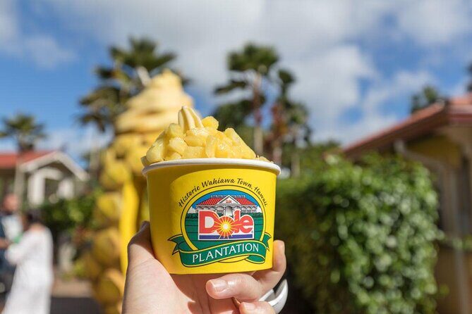 Pearl Harbor, Dole Plantation, and Polynesian Center from Kona - The Sum Up