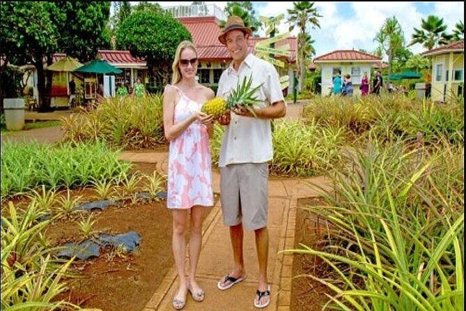 Pearl Harbor + Dole Plantation + Polynesian Center from Kauai - Practical Details and Tips for Your Day
