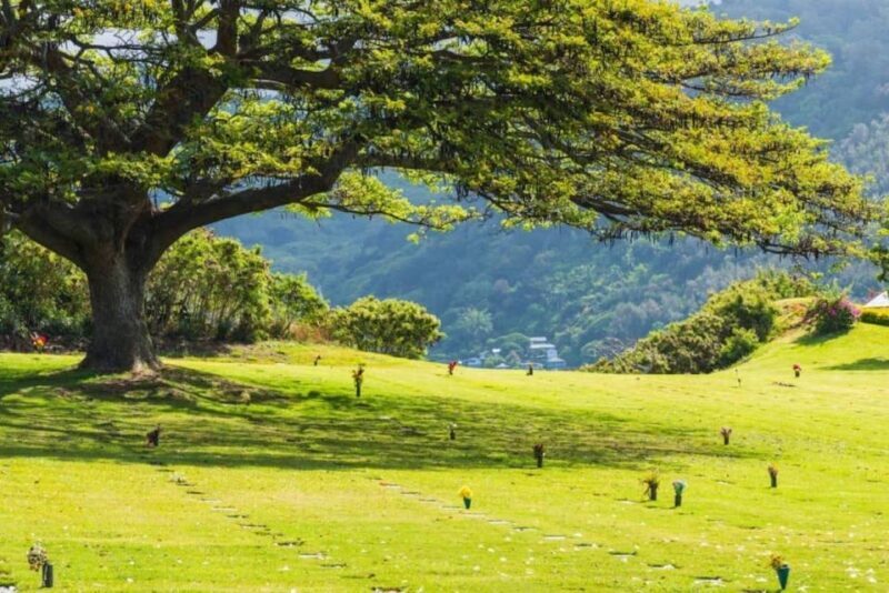 Pearl Harbor Oahu Circle Island Tour - Final Thoughts
