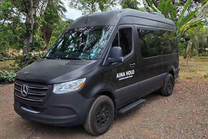 Pearl Harbor Tour from Waikiki Up to 10 - Practicalities and Additional Details