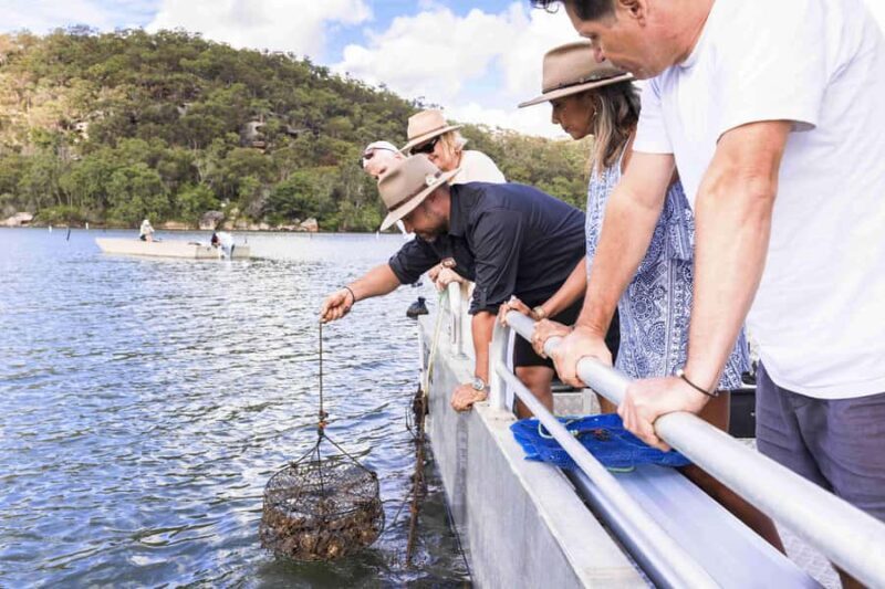 Pearl & Oyster Farm Hawkesbury River Cruise - Key Points