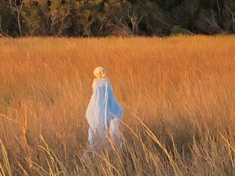 Pearlington, MS: The Haunted Bayou Cruise - FAQs
