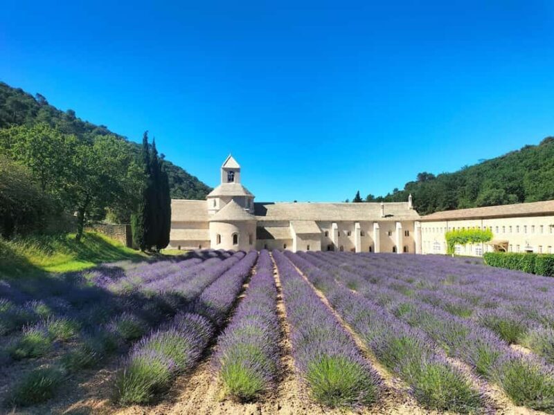 Pearls of Luberon: Gordes, Rousillon & Senanque private trip - The Sum Up