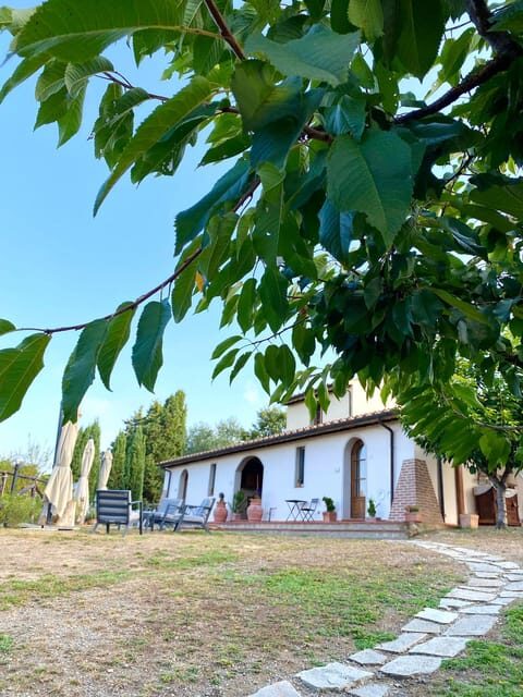 Peccioli: Wine tasting experience - Key Points