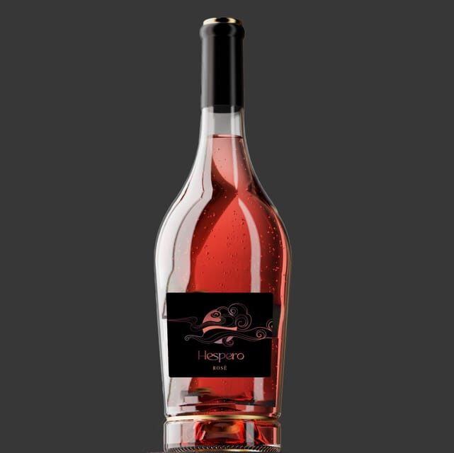 Peccioli: Wine tasting experience - An In-Depth Look at the Experience