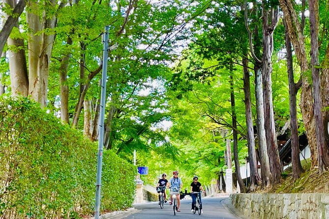 Pedal Adventure Kyoto's iconic landmarks on an e-bike tour - Exploring Kyoto on Two Wheels: What You Can Expect