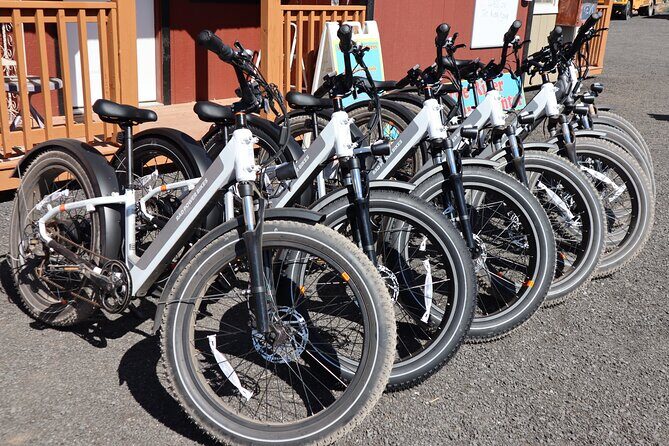 Pedal and Paddle Wine Tour in Arizona - The Itinerary in Detail