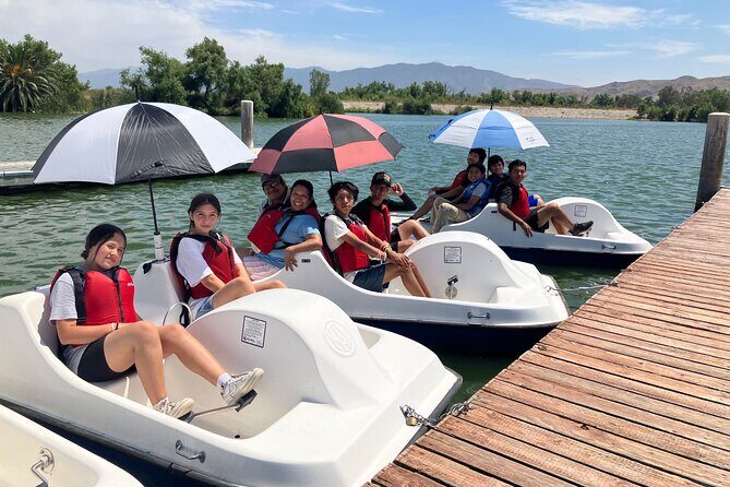 Pedal Boat Ride in Chino - An In-Depth Look at the Pedal Boat Experience