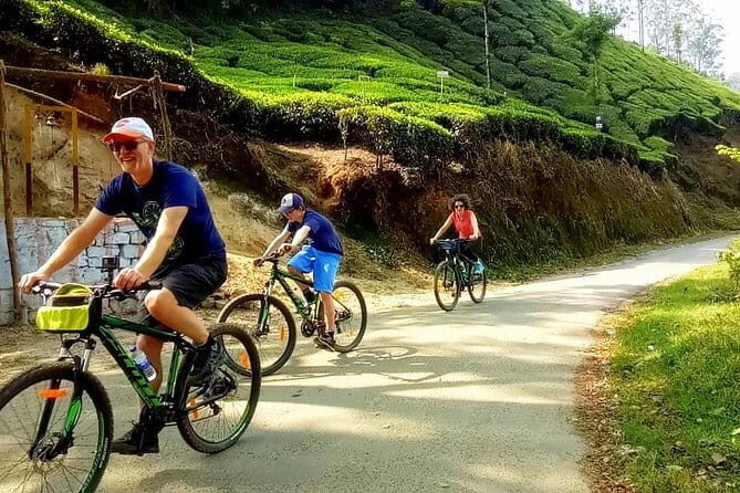 Pedal Green : Munnar Bicycle Tour - Pedal Green : Munnar Bicycle Tour — An Authentic Ride Through India’s Tea Capital