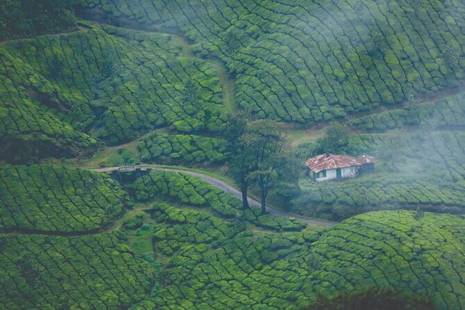 Pedal Green : Munnar Bicycle Tour - Final Word