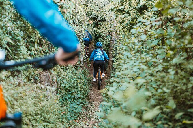 Pedals & Flavours: Sorrento oil and lemon tour - The Sum Up