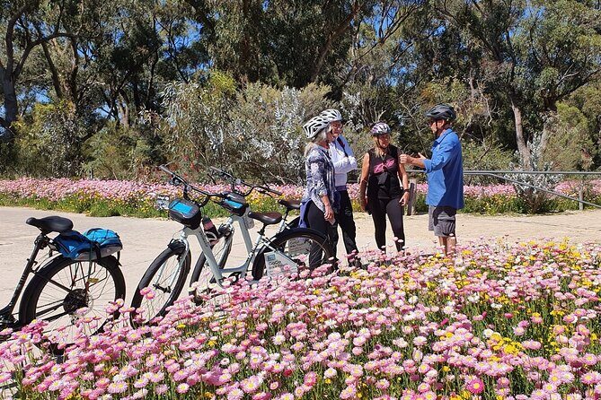 Pedals & Petals - Discovering Wildflowers Bike Tour Kings Park - Key Points