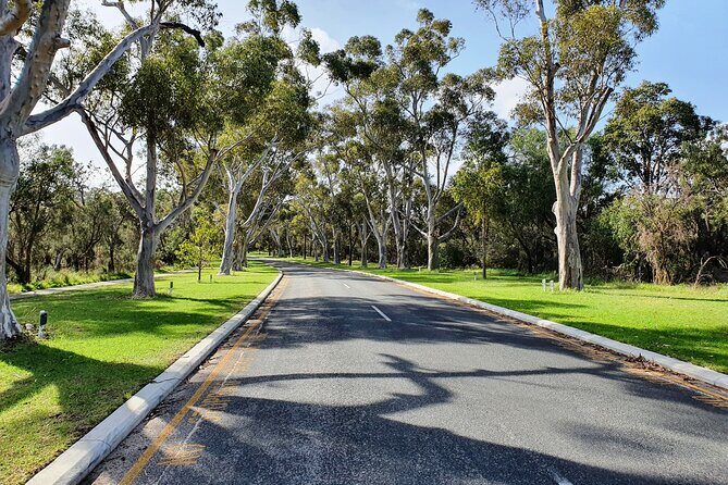 Pedals & Petals - Discovering Wildflowers Bike Tour Kings Park - Overview of the Pedals & Petals Wildflower Bike Tour