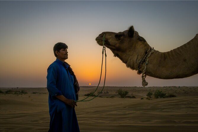 Peep's Billions of Stars Experience with Desert & Camel Safari - Introduction