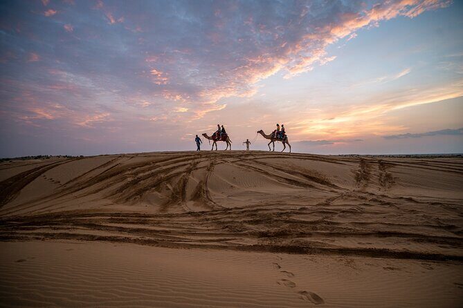 Peep's Billions of Stars Experience with Desert & Camel Safari - FAQ