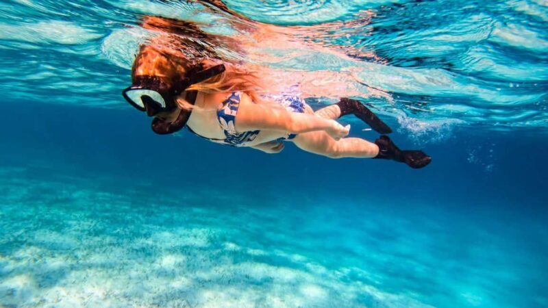 Pefkochori: Snorkeling Trip in Halkidiki-Kassndra - Why This Snorkeling Trip Stands Out