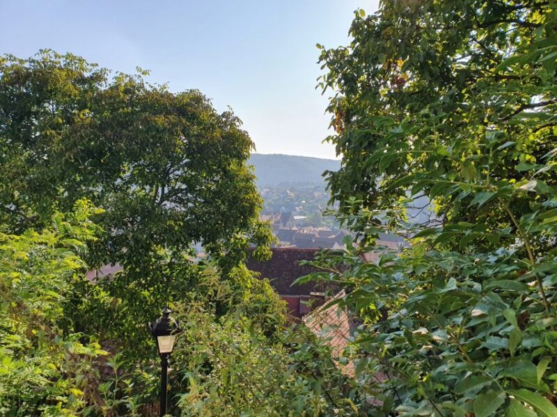 Pele Castle, Bran Castles and Brasov City - Private Tour - Authentic Reviewer Insights