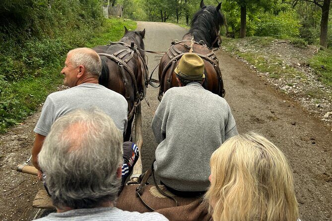 Peles castle and authentic Romanian village experience - day trip - Transportation and Group Size