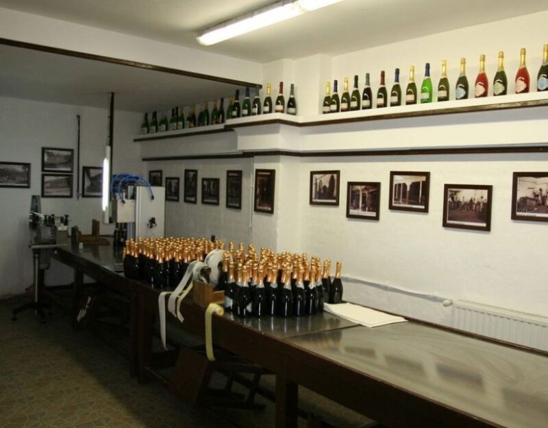 Peles Castle & Wine Tasting Tour - Full-Day from Bucharest - Key Points