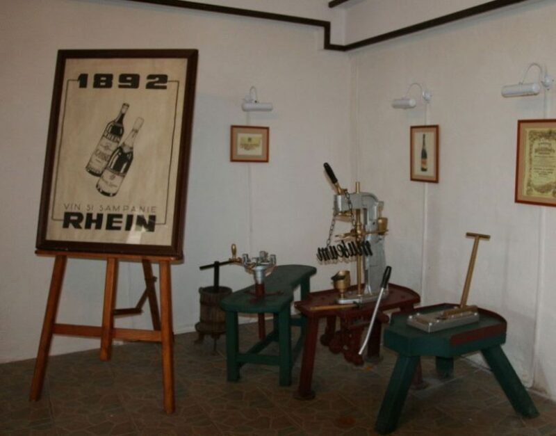 Peles Castle & Wine Tasting Tour - Full-Day from Bucharest - A Deep Dive into the Days Highlights