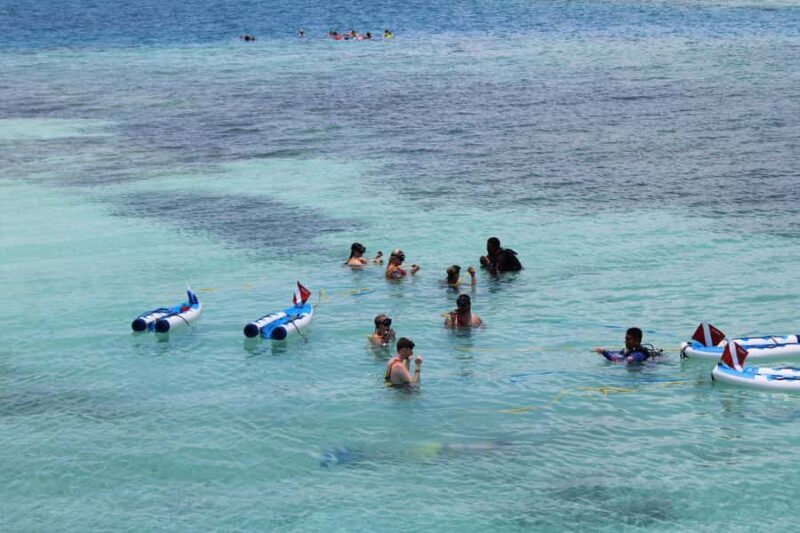 Pelican Rock: SNUBA Underwater Experience with Guide - An Honest Look at the Pelican Rock SNUBA Tour