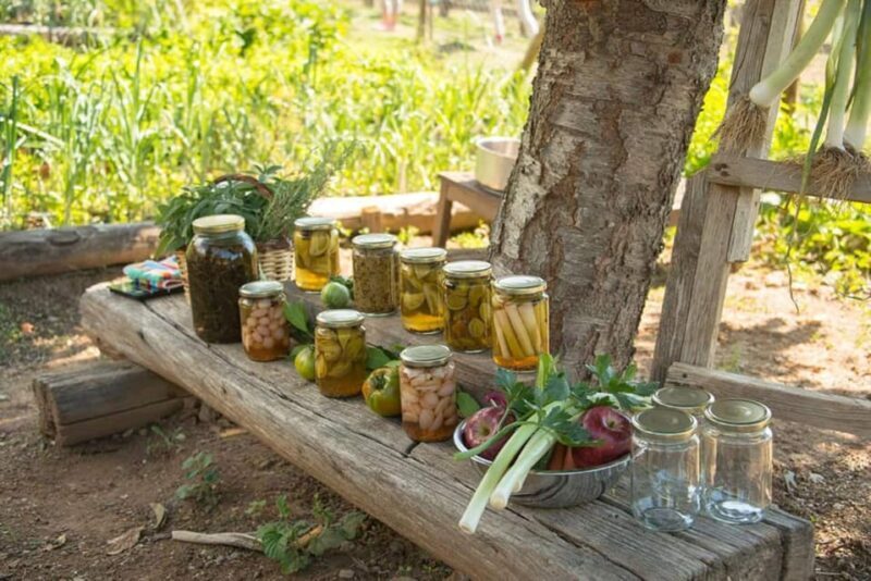 Pelion Private Nature Experience : Farm-to-Table Cooking - Key Points