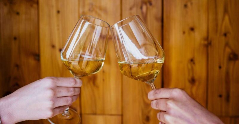 Peljeac wine tasting and local winery visit - Key Points