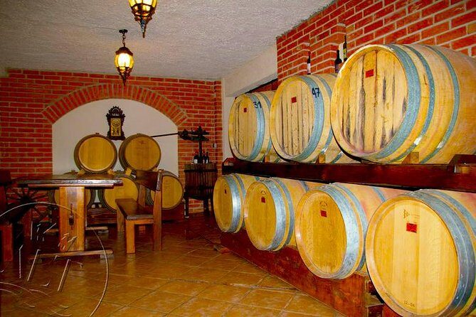 Peljesac Vineyards & Oysters - Private Day Trip from Dubrovnik-Mercedes Vehicle - Exploring the Peljesac Peninsula—What to Expect