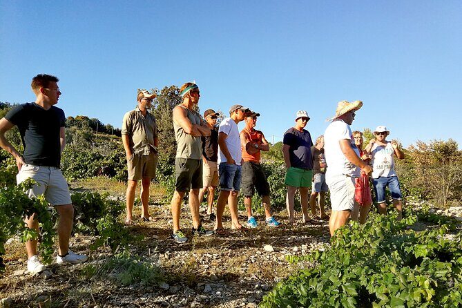 Peljesac&Ston Small-Group Food & Wine Experience from Dubrovnik - FAQs