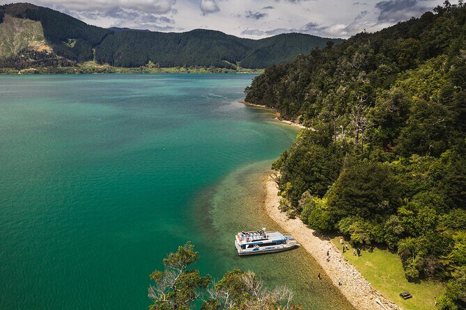 Pelorus Mail Boat Sunday Scenic Cruise  Full-Day from Havelock - Exploring the Pelorus Mail Boat Sunday Scenic Cruise from Havelock: A Genuine Look