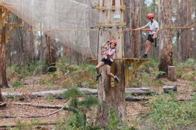 Pemberton: 1 Hour Explorer Pass with Ziplines and High Ropes - An Introduction to the Experience