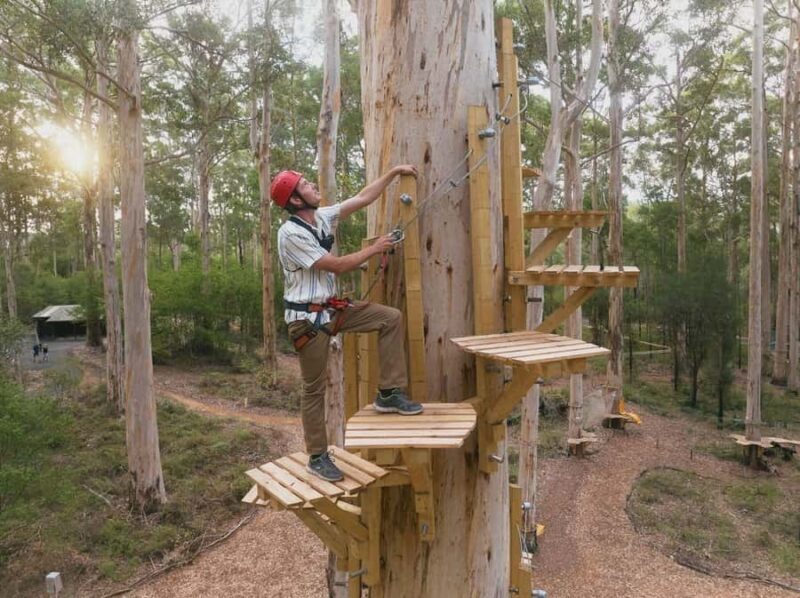 Pemberton: 2.5h Ultimate Ziplines & High Ropes Experience - Practical Details