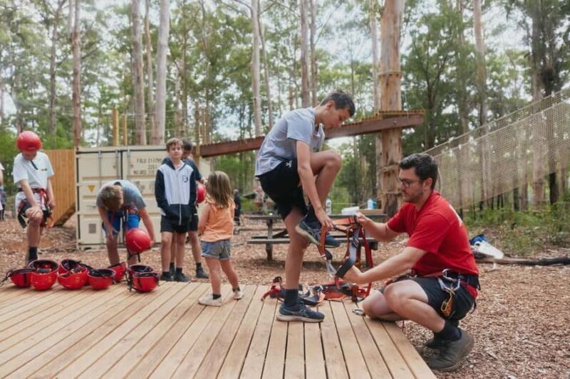 Pemberton: 2.5h Ultimate Ziplines & High Ropes Experience - Authentic Feedback from Visitors